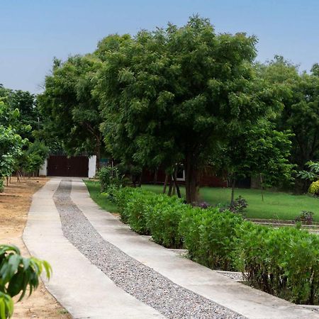 Stayvista At Idyllic Farmhouse - A Glasshouse With Outdoor Pool Gurgaon Exteriör bild