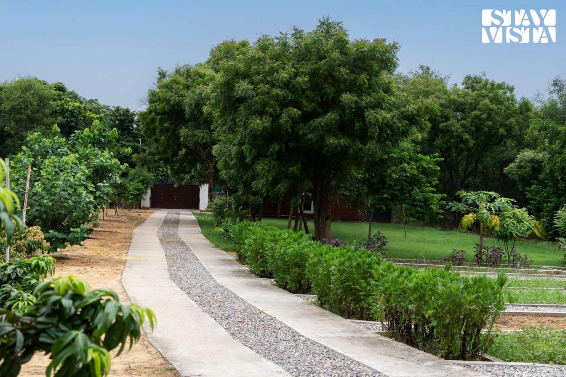 Stayvista At Idyllic Farmhouse - A Glasshouse With Outdoor Pool Gurgaon Exteriör bild